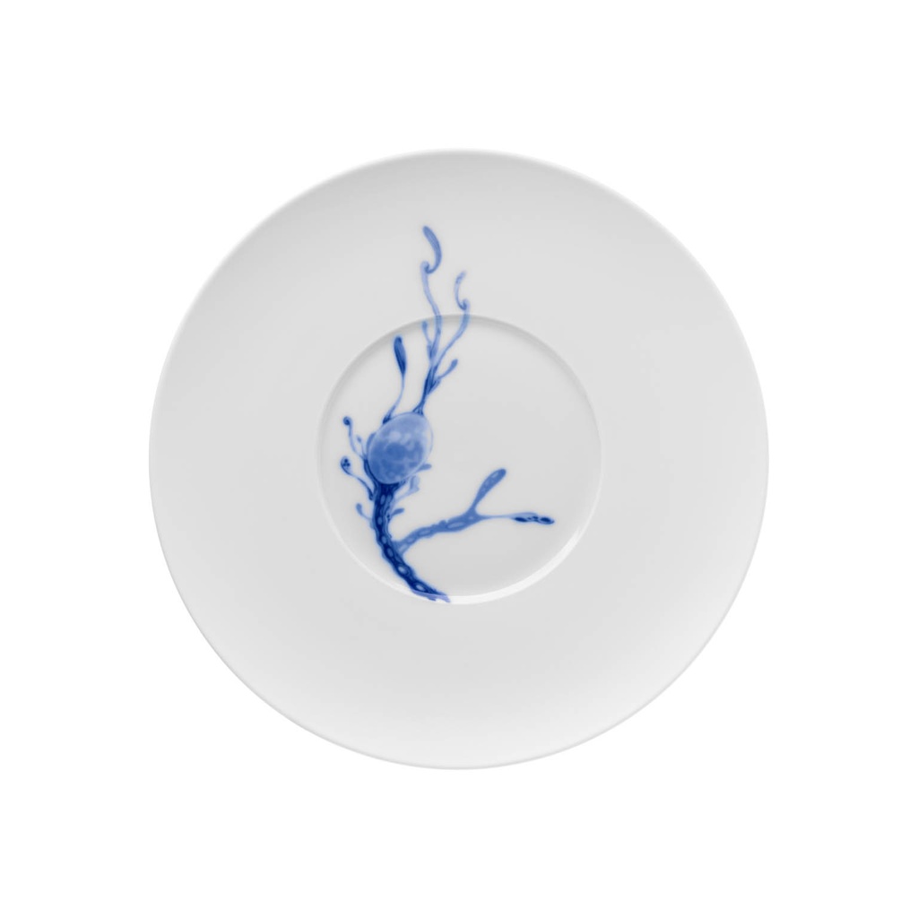 Coupe Plate, Medium
