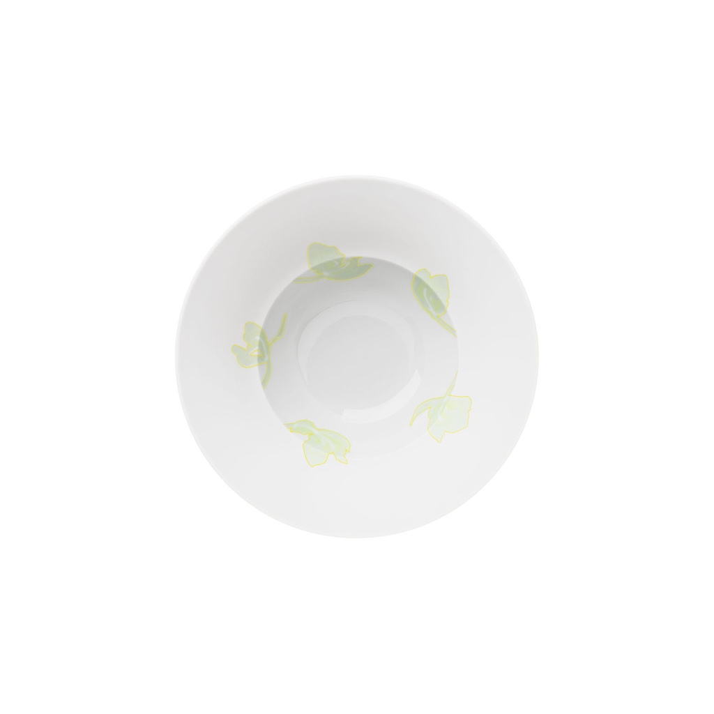 Salad/Soup Bowl
