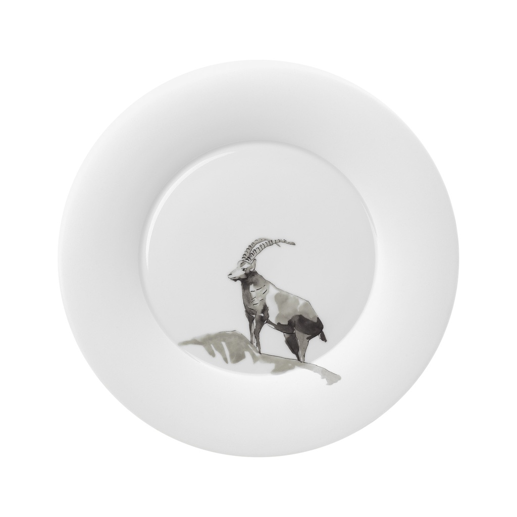 Dinner Plate