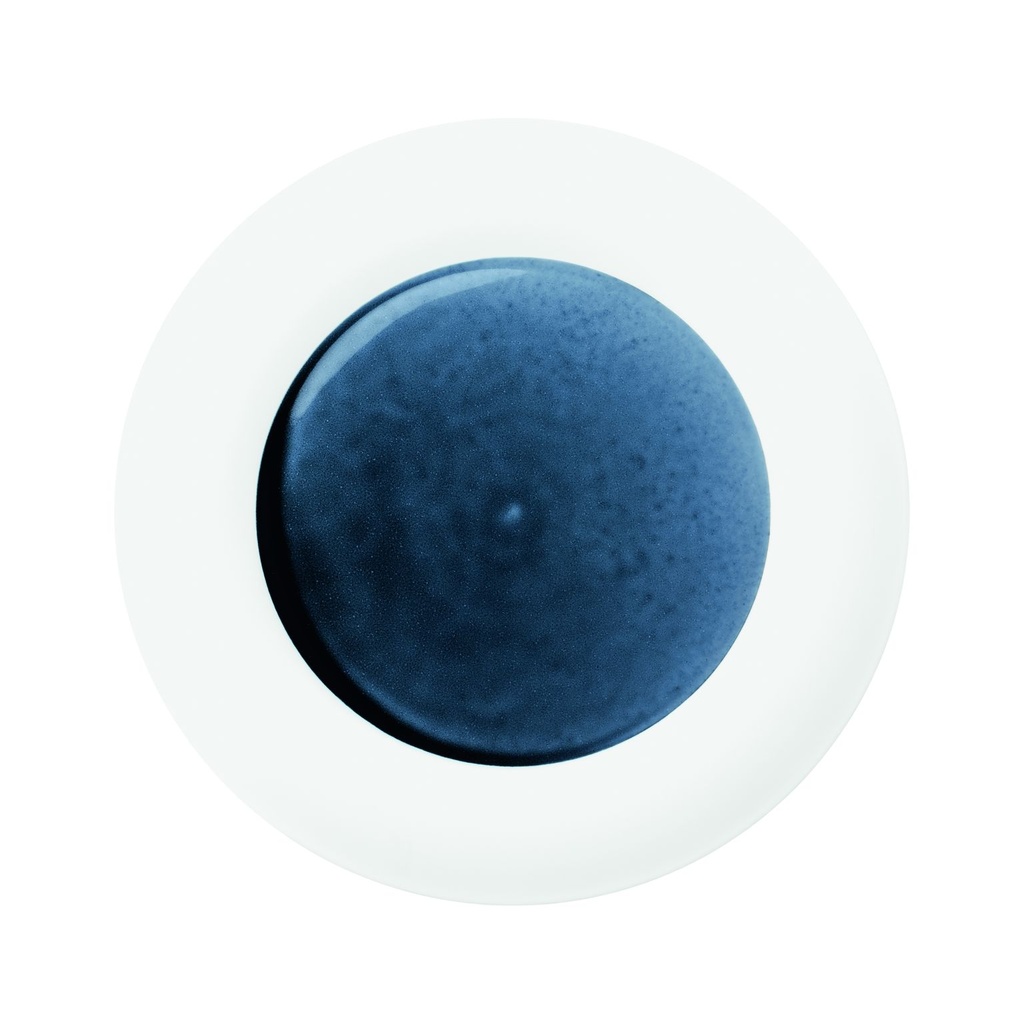 Dinner Plate